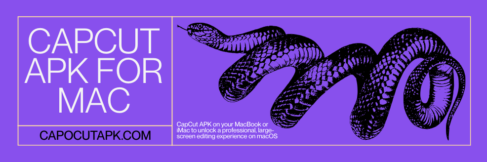 CapCut for macOS editing interface